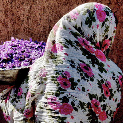 هنر عکاسی در پدیده انقلاب تاثیرگذار بوده است