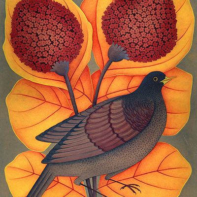 گل و مرغ‌های تازه - مریم لامعی